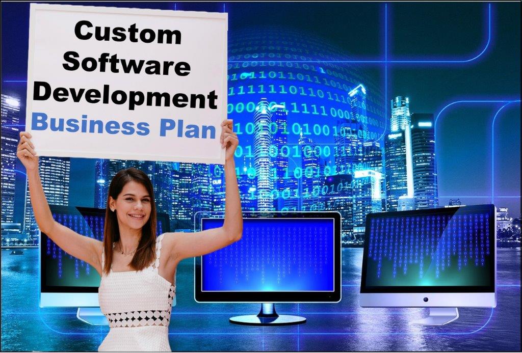 custom software development services provider in Delhi
