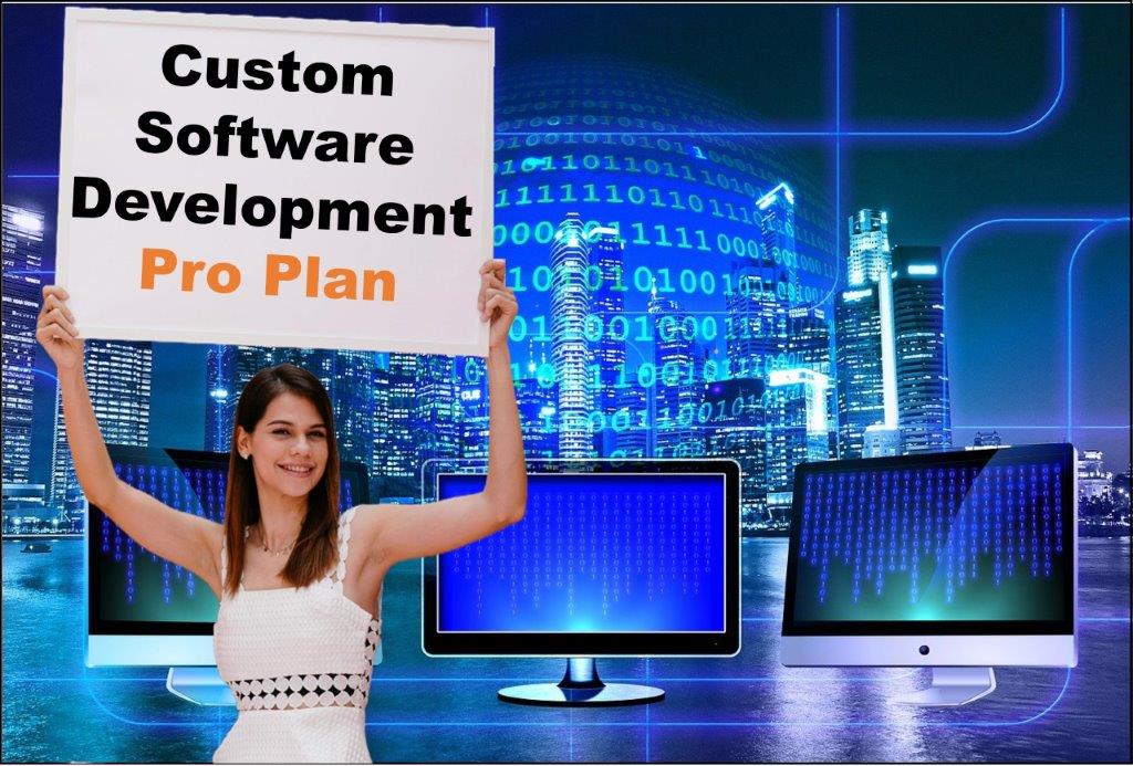 custom software development agency in Delhi