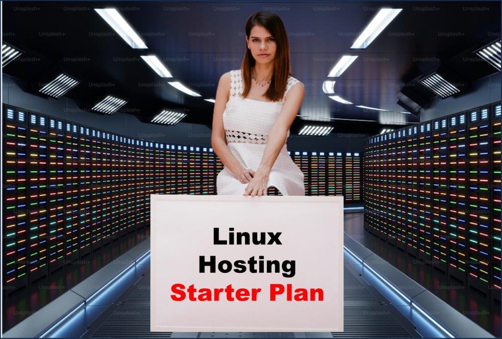 linux hosting windows hosting provider in Delhi