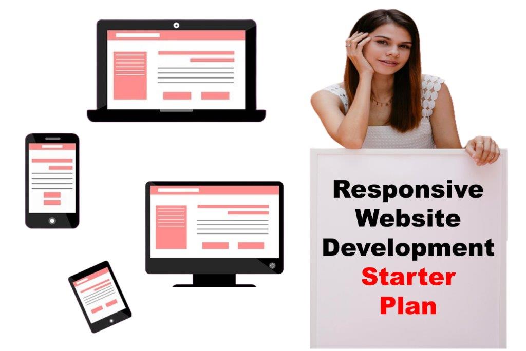 responsive website development agency in Delhi