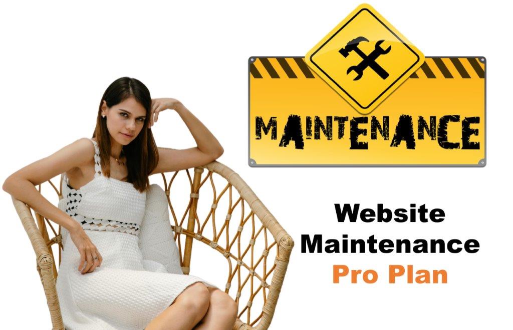 website maintenance agency in Delhi