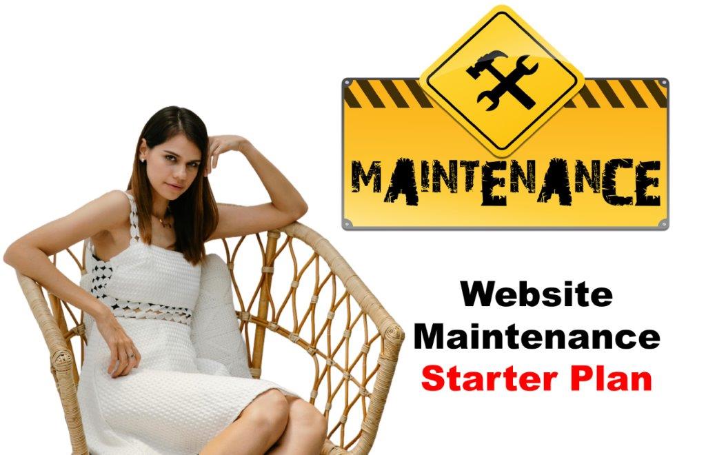 website maintenance service in Delhi